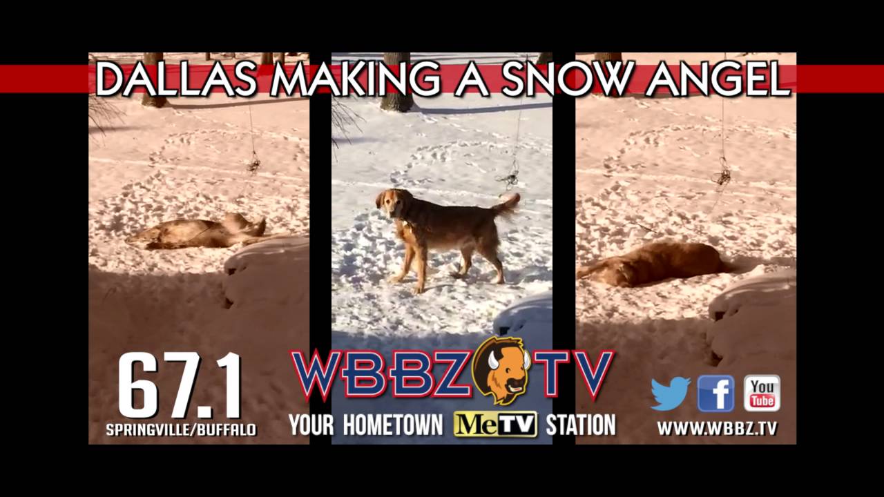 WBBZ-TV "Dallas"