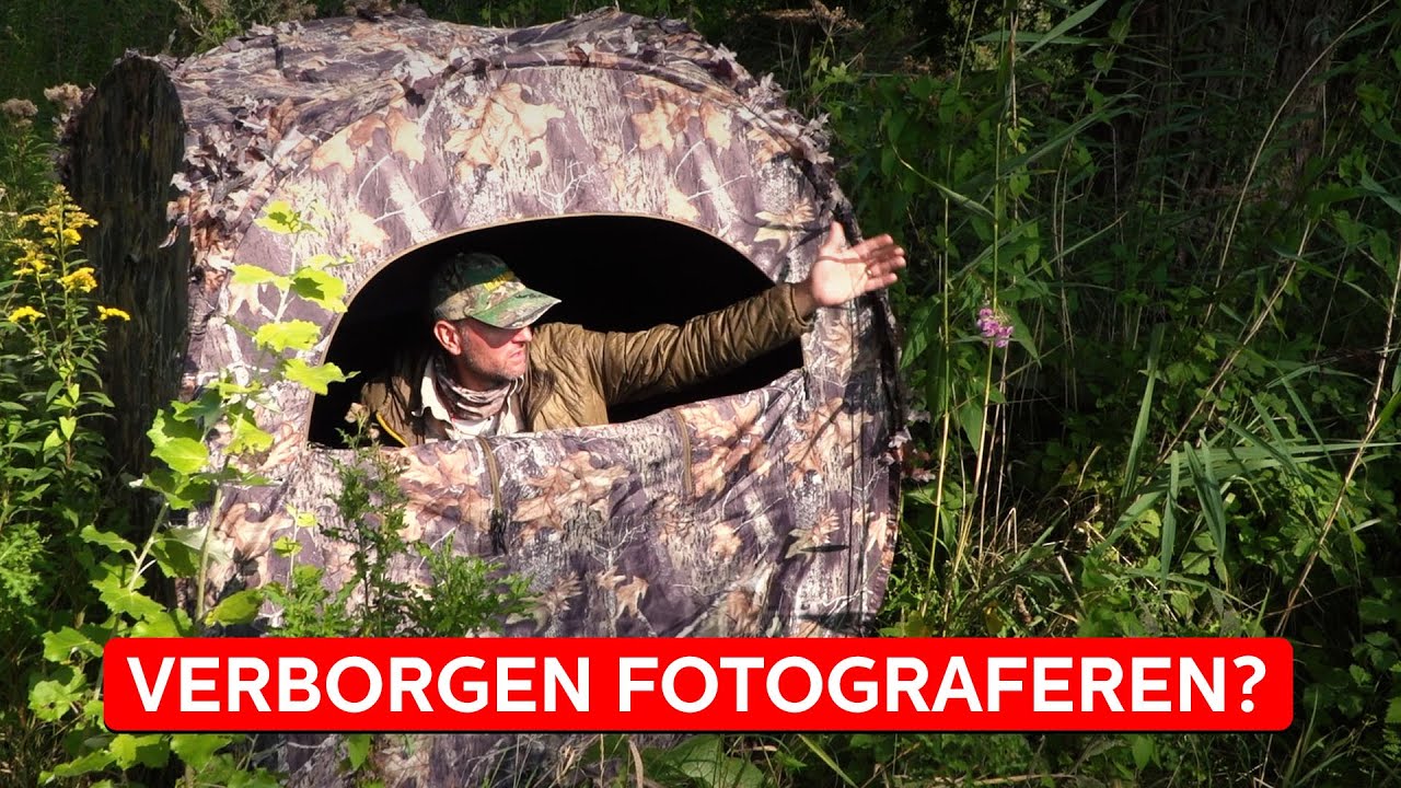 FOTOGRAFEREN vanuit een mobiele SCHUILHUT | Natuurfotografie | Zoom.nl