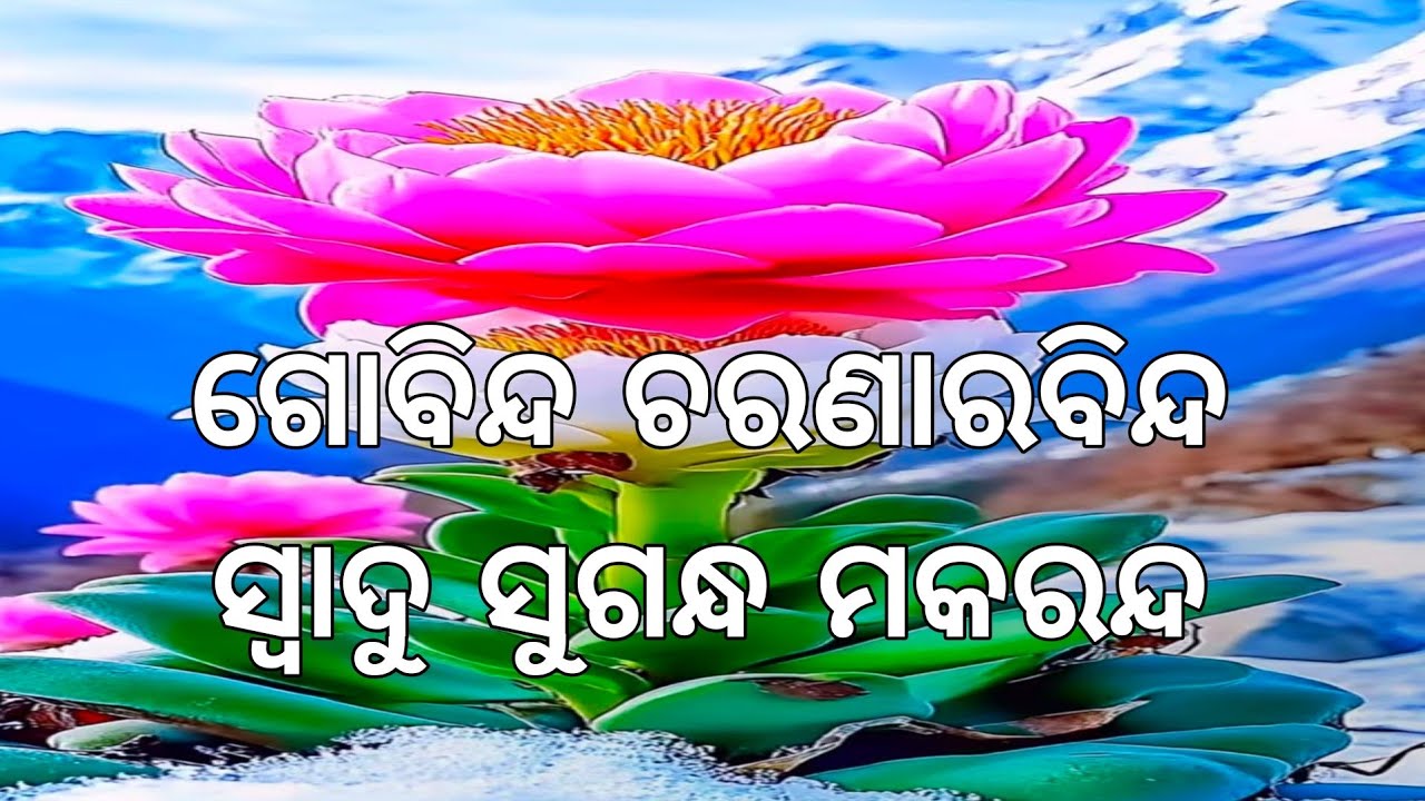 ଗୋବିନ୍ଦ ଚରଣାରବିନ୍ଦ,ସ୍ବାଦୁ ସୁଗନ୍ଧ ମକରନ୍ଦ ।। ଓଡ଼ିଆ ଭାଗବତ ପାରାୟଣ ।। ପ୍ରେମ ପନ୍ଥ ପରିବାର ।।