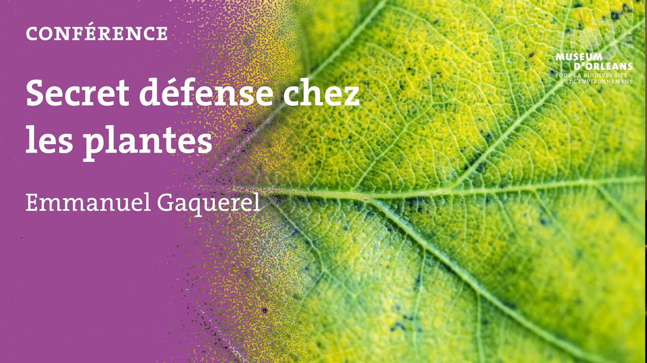 MOBE - CONFERENCE - Emmanuel Gaquerel : Secret défense chez les plantes