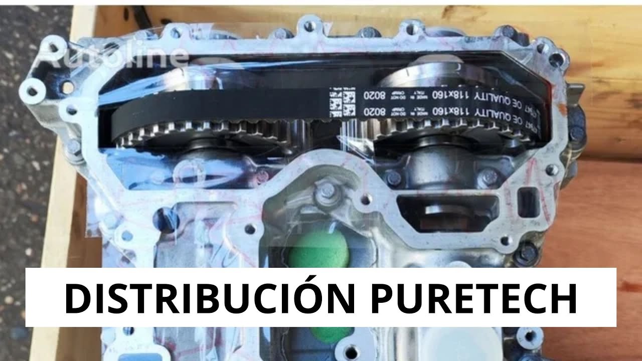 Correa distribución puretech