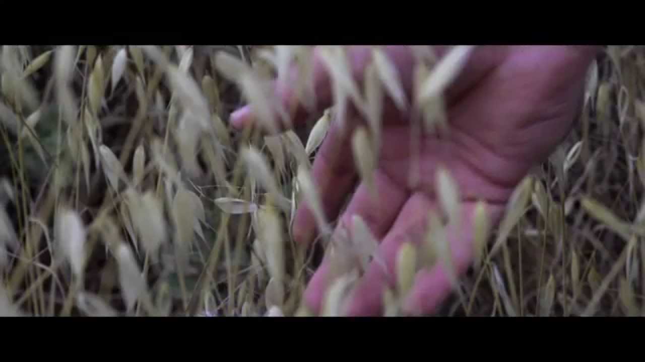 דן סלומון - ביני ובינה (קליפ)