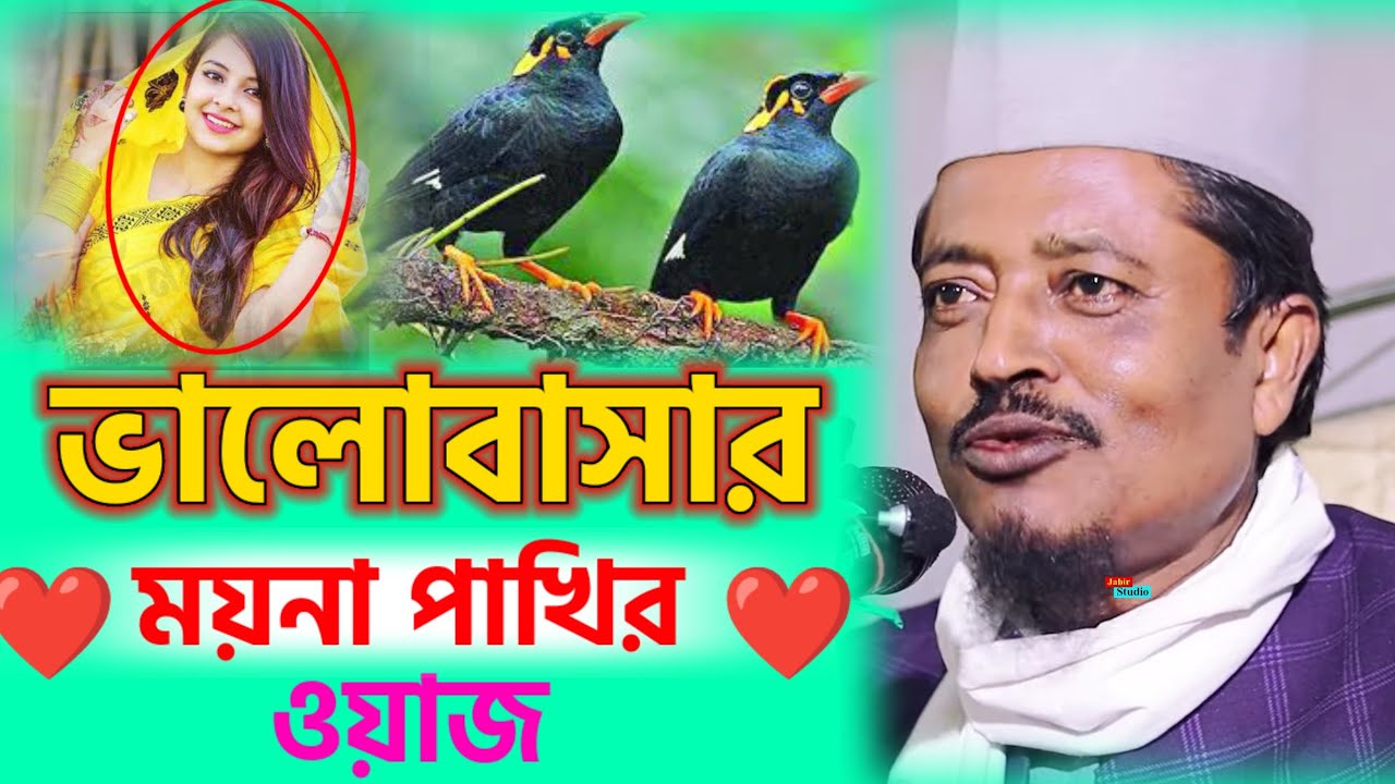 ভালোবাসার ময়না পাখির ওয়াজ ll Moulana Amad Uddin Saheb Waz 2024 ll Amad Uddin Waz