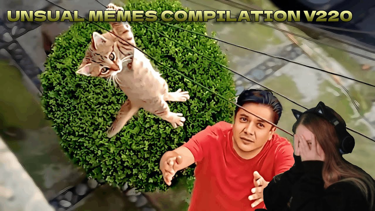 Kasix ogląda unsual memes compilation v220 reakcja + chat *beka*
