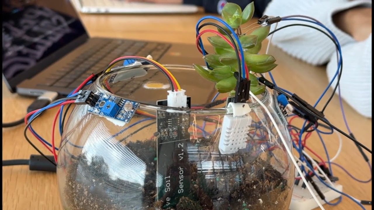 Колледж Спелман в Атланте разрабатывает искусственный интеллект для более эффективного ухода за р...