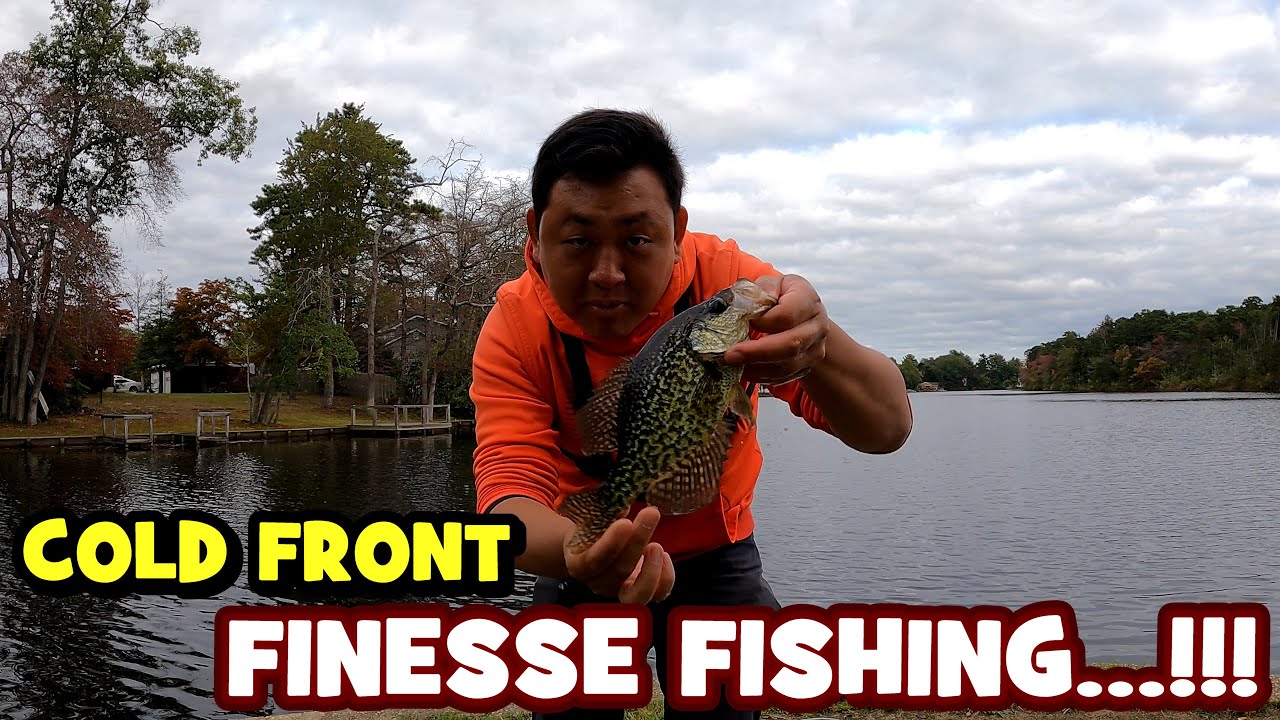 Когда МАСТЕРСТВО ВО ВРЕМЯ ХОЛОДНОГО ФРОНТА ОКУПАЕТСЯ...!!! [ОЦЕНКА ВИДА]