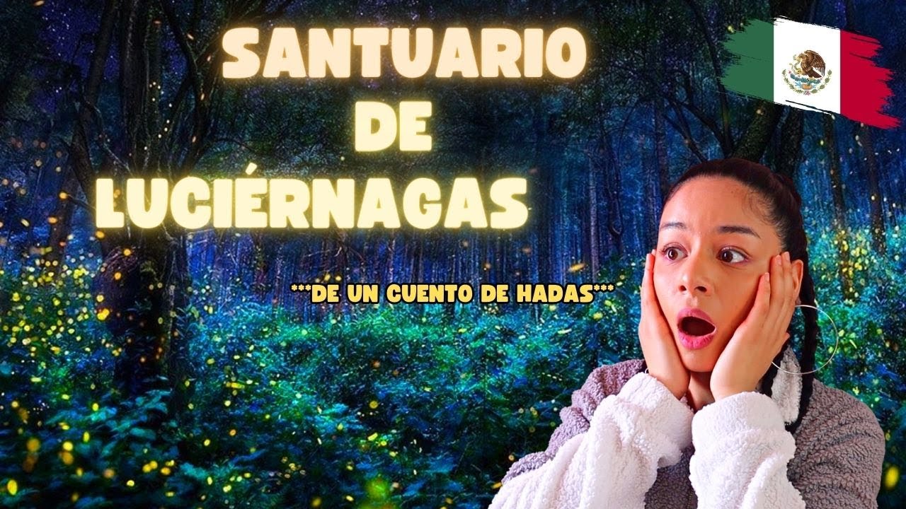 EXTRANJERA REACCIONA a SANTUARIO DE LUCIÉRNAGAS en MÉXICO
