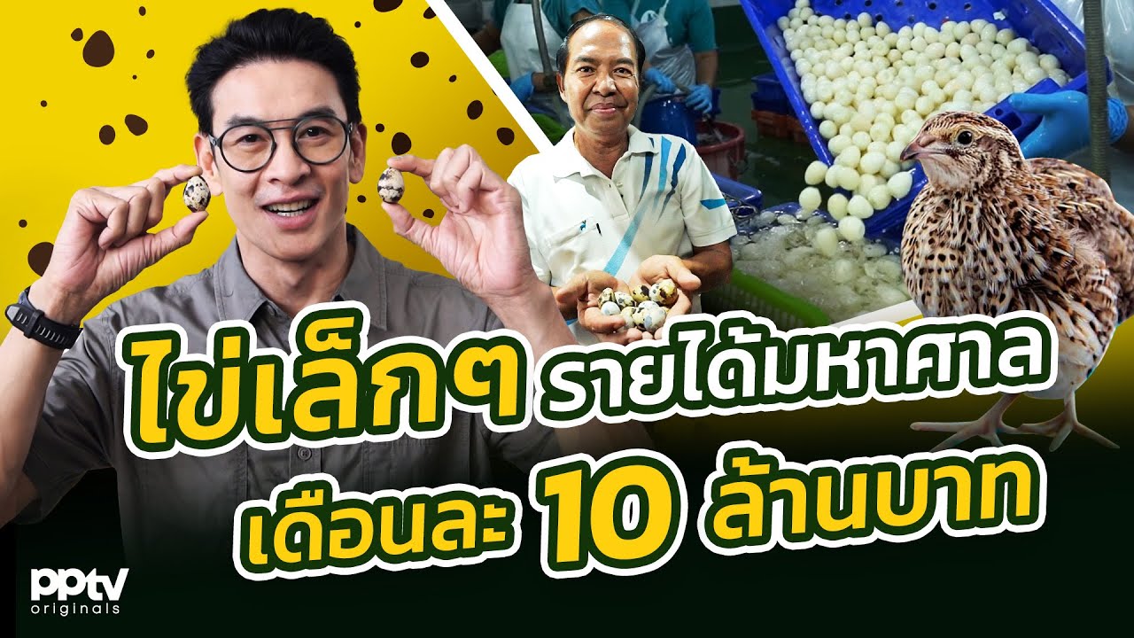 ไข่เล็กๆ รายได้มหาศาลเดือนละ 10 ล้านบาท | คริตมาแล้ว | Full EP