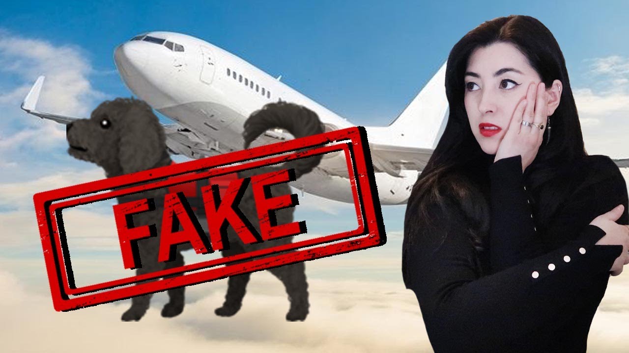 The PROBLEMATIC World of FAKE Service Dogs