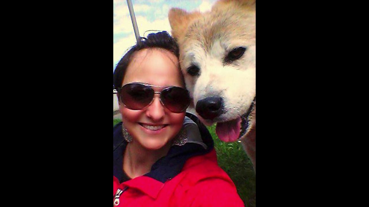 Kaito japanese akita inu - goodbye