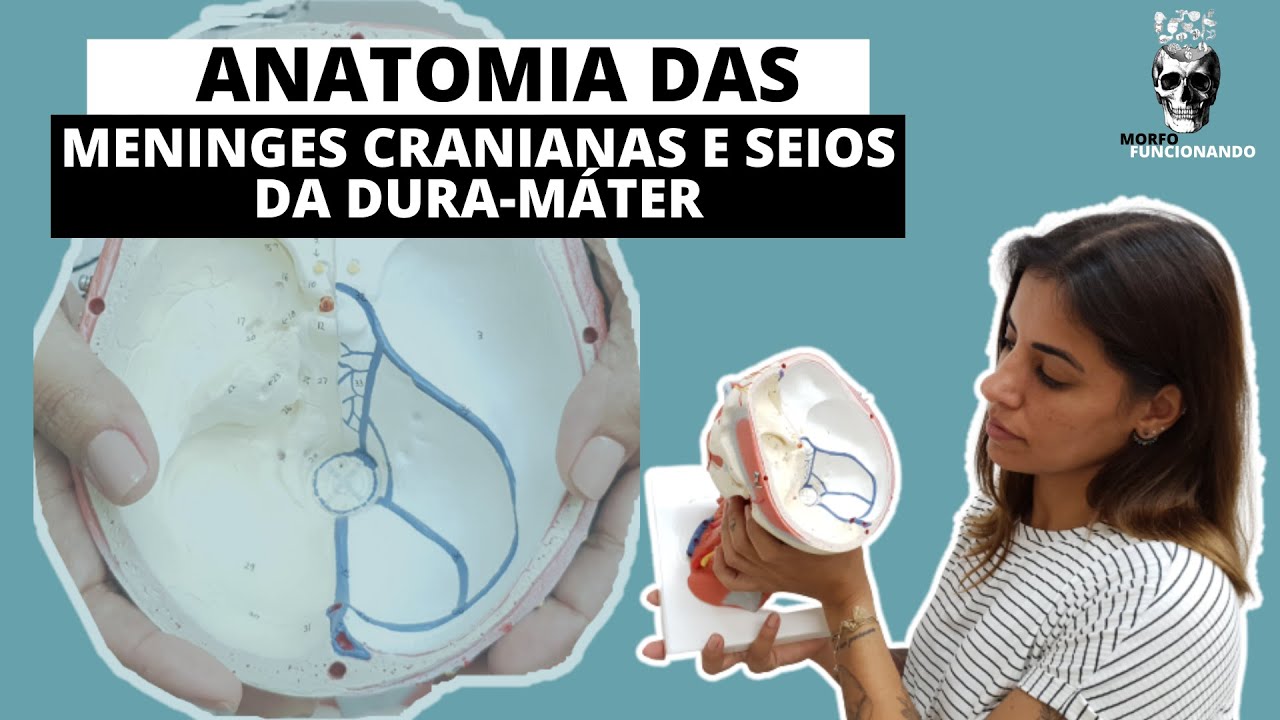 ANATOMIA DAS MENINGES CRANIANAS, SEIOS E PREGAS DA DURA-MÁTER #9