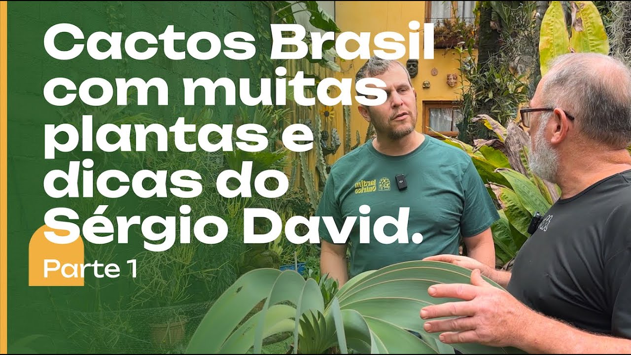 TOUR no CACTOS BRASIL: Plantas, Dicas e a simpatia do Sergio David. Parte 1.