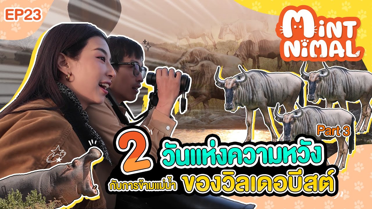 2 วันแห่งความหวัง กับการข้ามแม่น้ำของวิลเดอร์บีสต์ | Mintnimal EP.23