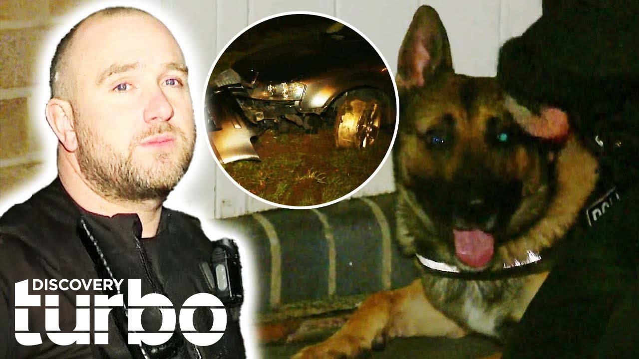 Police Dogs Hunt Down Dangerous Driver As Car Chase Turns Into A Runner | Cops UK: Bodycam Squad