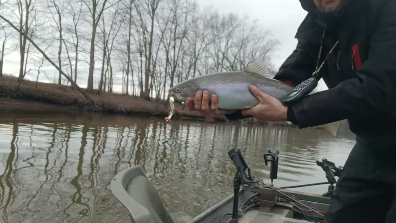 On today's adventure Fish On #Steelhead #Fishing 