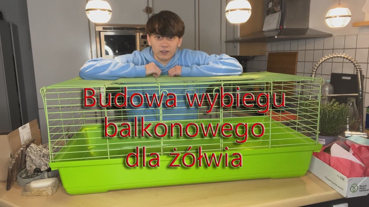 Budowa wybiegu dla małego żółwia greckiego na balkon  TESTUDO HERMANII