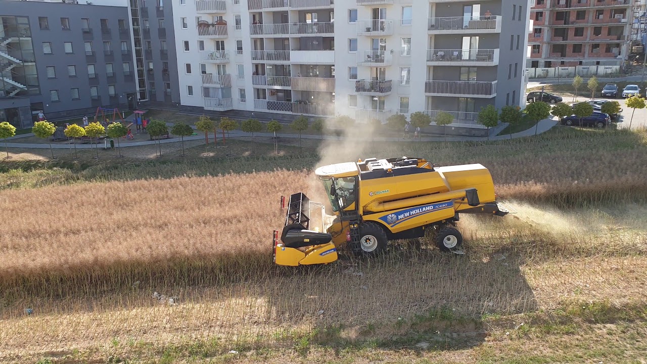 Żniwa na Jantarowej w Lublinie