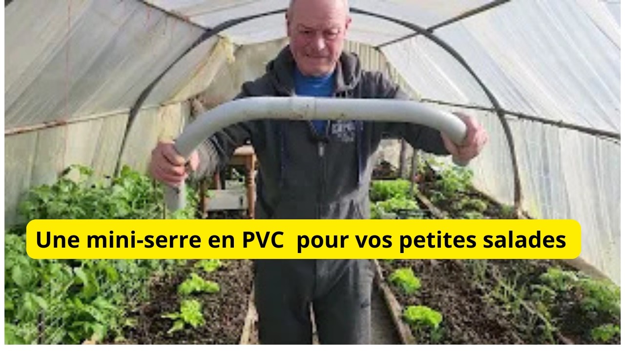 Comment gagner de la chaleur pour vos petites salades en extérieur?