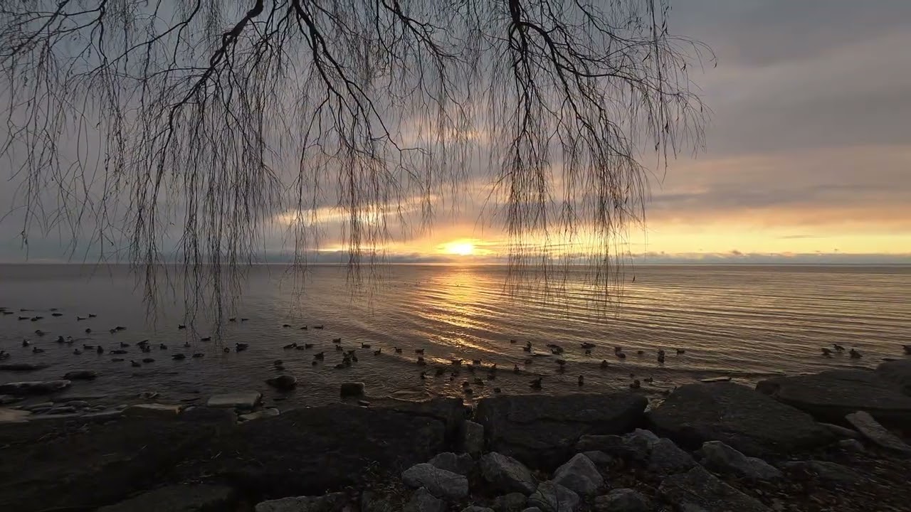 December 14, 2025 Sunrise