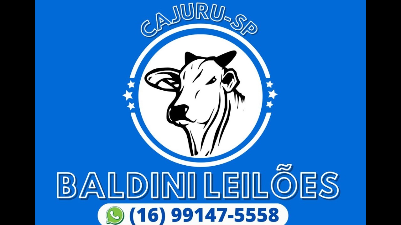 Baldini leilões