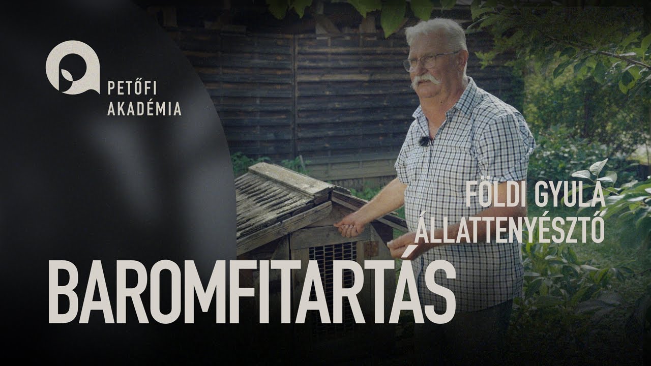 PETŐFI AKADÉMIA: BAROMFITARTÁS | FÖLDI GYULA  ep.34.