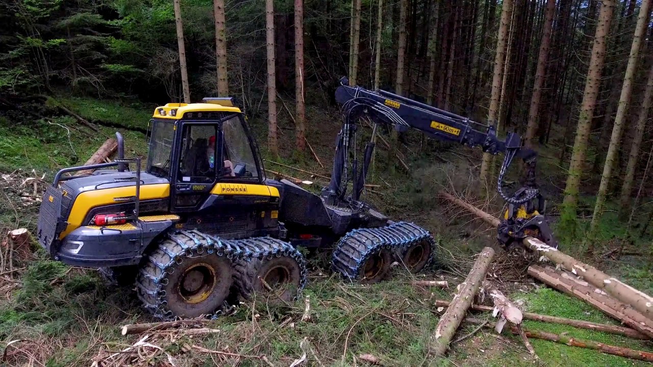 PONSSE BEAR in the western forests of NORWAY - 4K