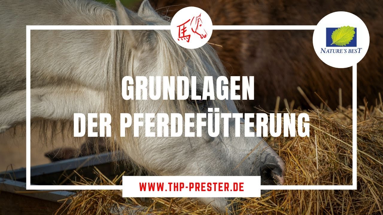 Grundlagen der Pferdefütterung