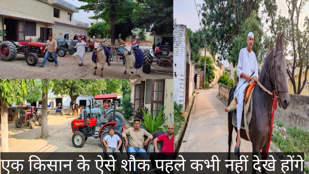 किसान के ठाठ हुक्का व खाट शानदार घोड़ी नागौरी बैल 8 ट्रैक्टर 1888 की बनी हवेली व देसी गाय