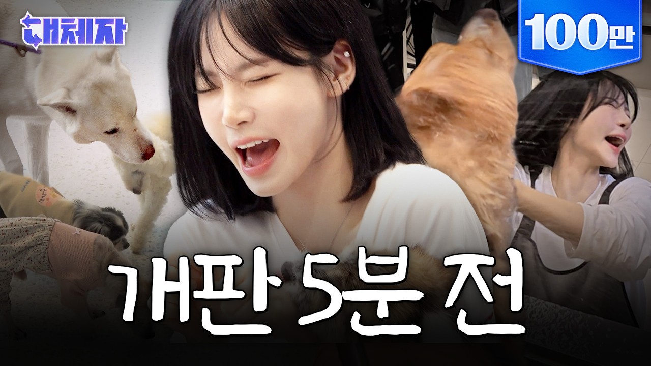 왈왈왈왈! 강아지와 동기화 된 나경 | 대체자 EP.02 | 트리플에스 나경