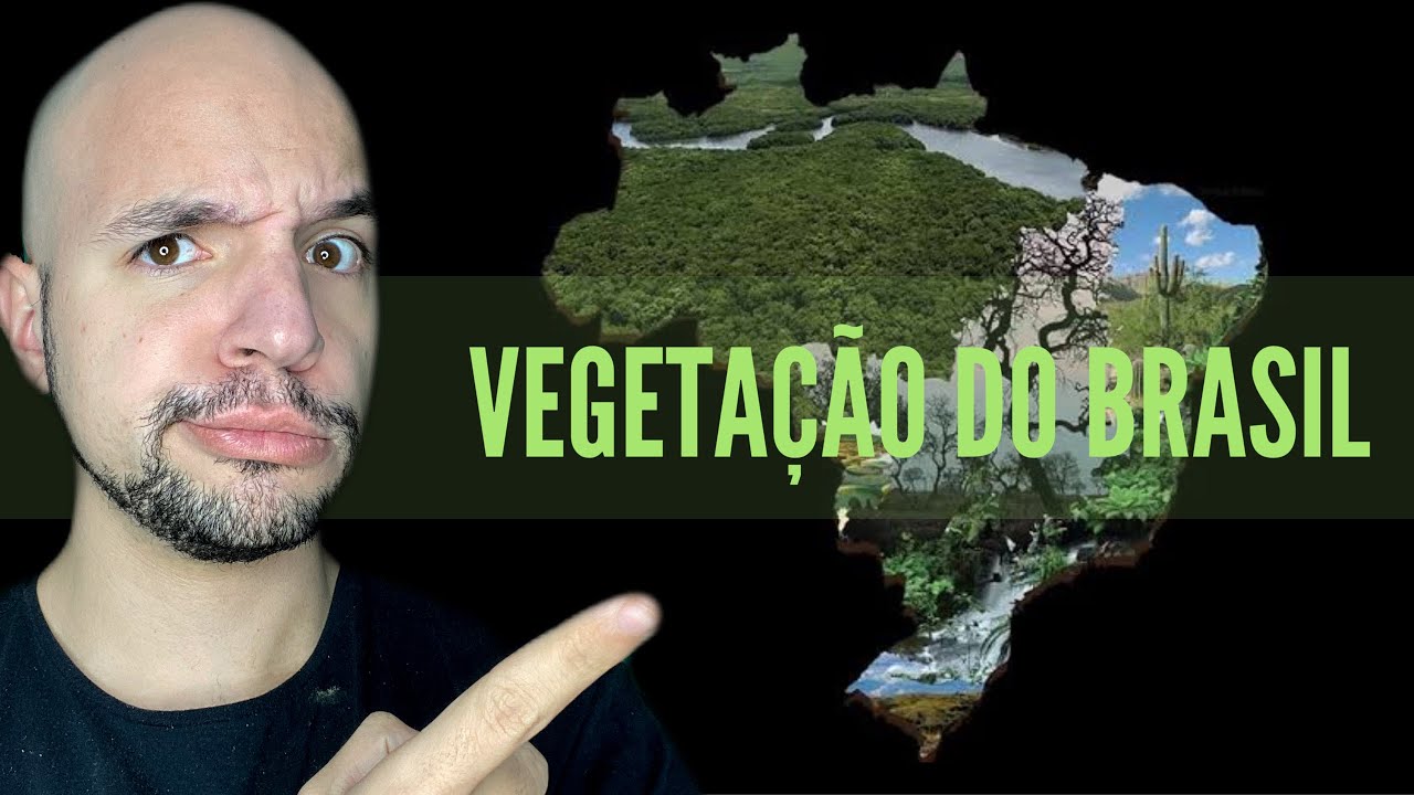 Vegetação do Brasil (Biomas brasileiros) | Aula completa | Ricardo Marcílio