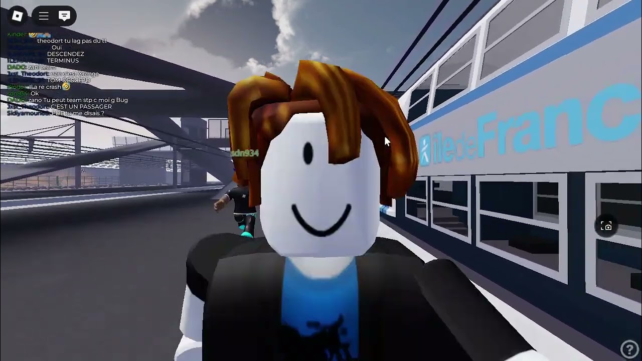 ZM RER D