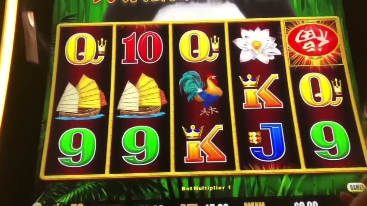 Dragon Link Slot Machine 🐲🖇️🎰| Panda Magic Casino Session 🐼✨