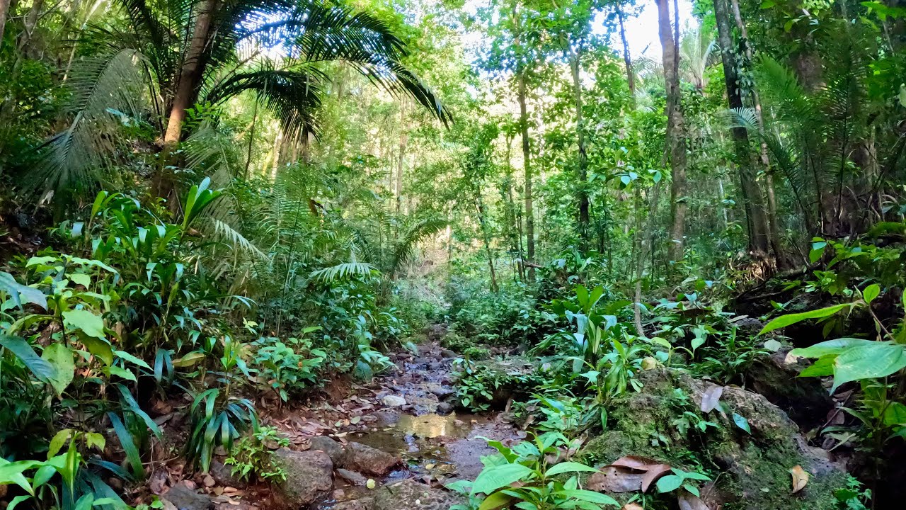 French Guiana 2024