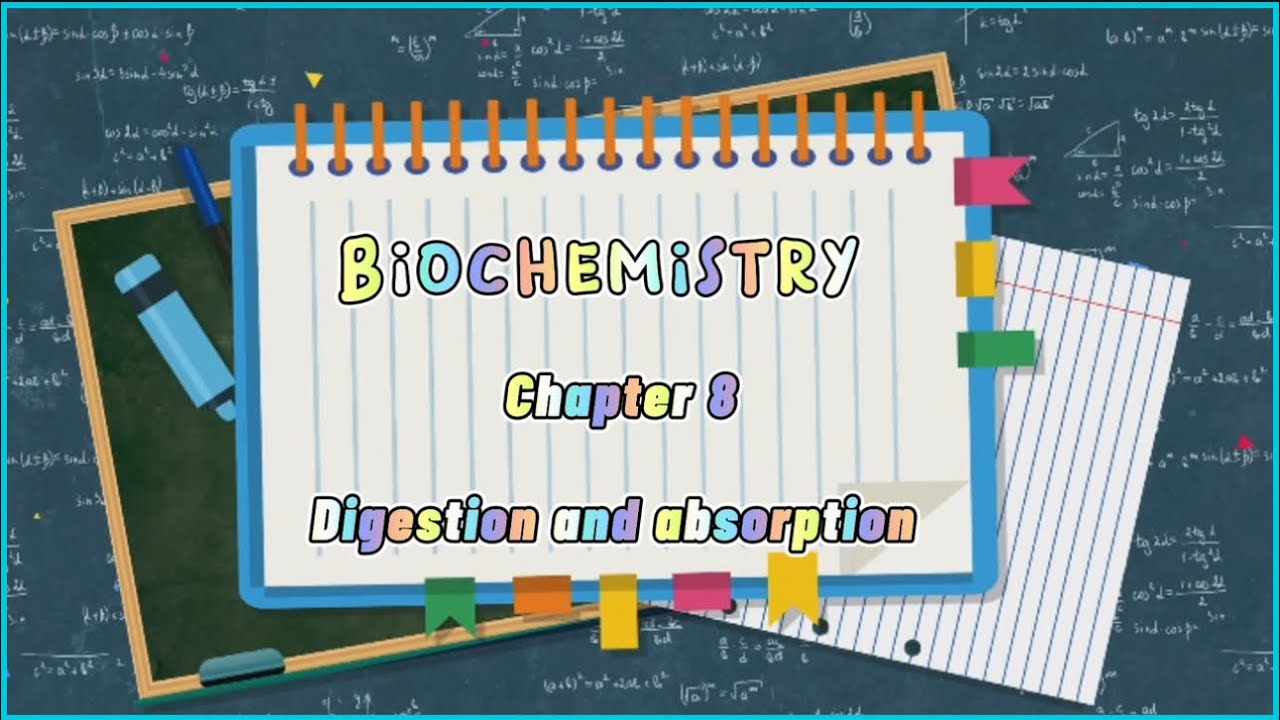Digestion and absorption chapter 8 Biochemistry