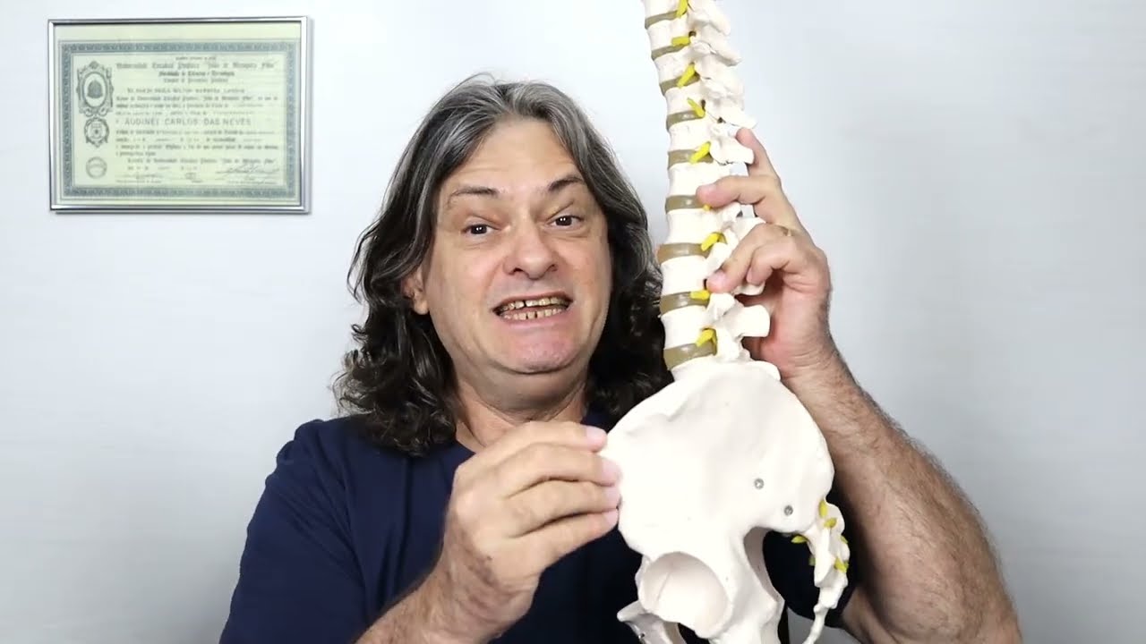 Câimbra na virilha é causada por compressão de nervos na L1