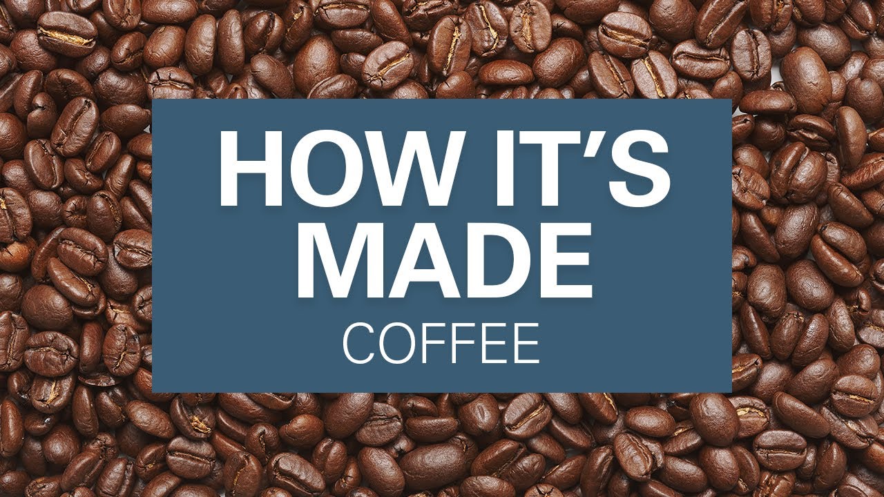 How Coffee is Made | Types of Coffee Beans