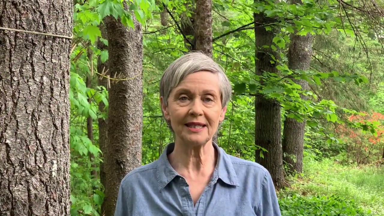Lisa for Maine: You Are Not Alone - Voice for Maine people