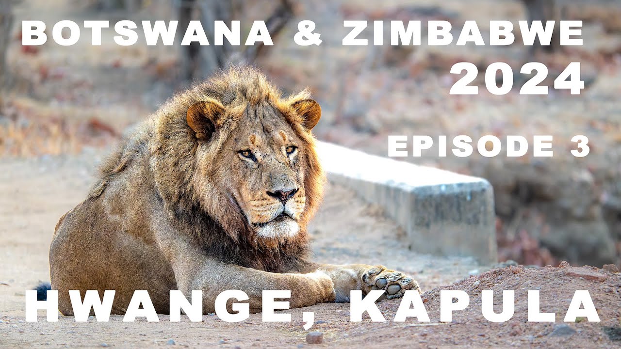 Hwange National Park, Kapula - Botswana and Zimbabwe 2024 - Episode 3