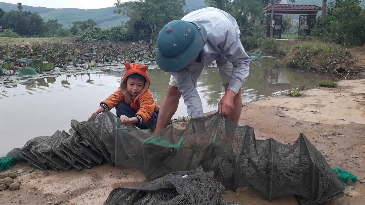 Lưới bát quái mồi mới bùn trộm với cám thơm cho hiệu quả cao / về với làng quê