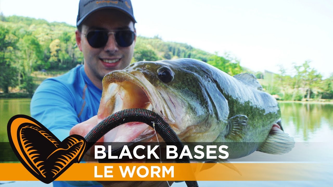 Le worm pour la pêche du black-bass