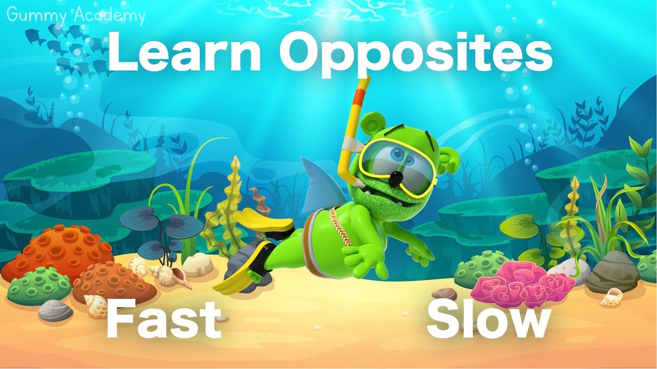 Learn OPPOSITES With Gummibär - FAST and SLOW - Gummy Shark Week 2019 - Learn English Words