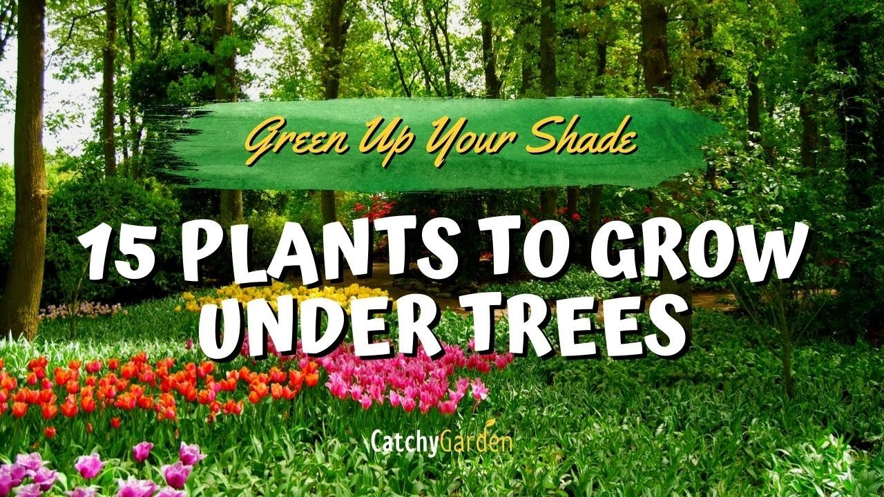 Озелените свою тень: 15 растений для выращивания под деревьями 🌳🌷👍 // Советы по садоводству