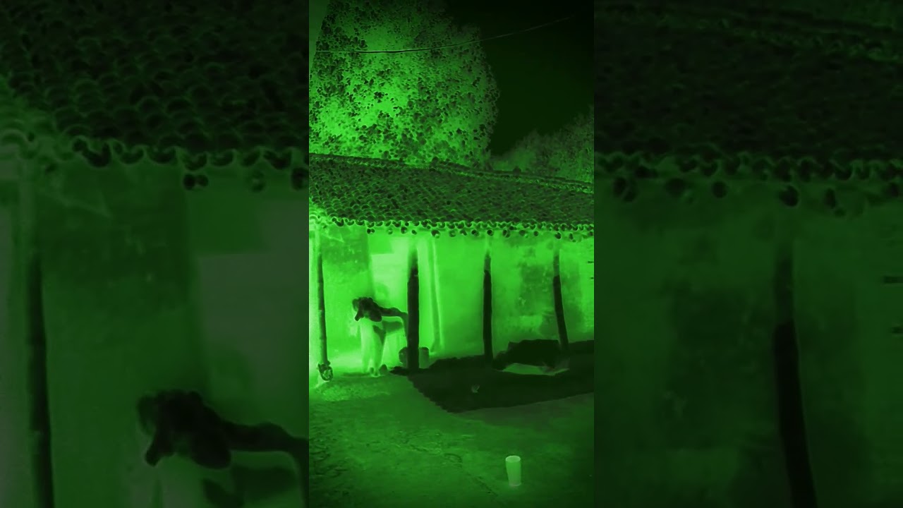 bhooto ka ghar #ghost #bhoot #scary #creepy #horror #darawana #marriageproposals #horrorcontent #😱