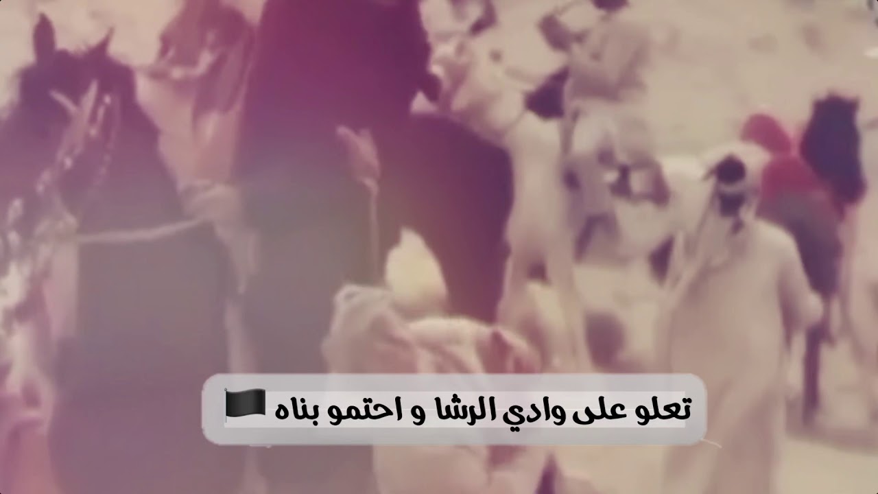 عزوتي الاد النفيعي مقدم العربان🔥|شبل الدواسر