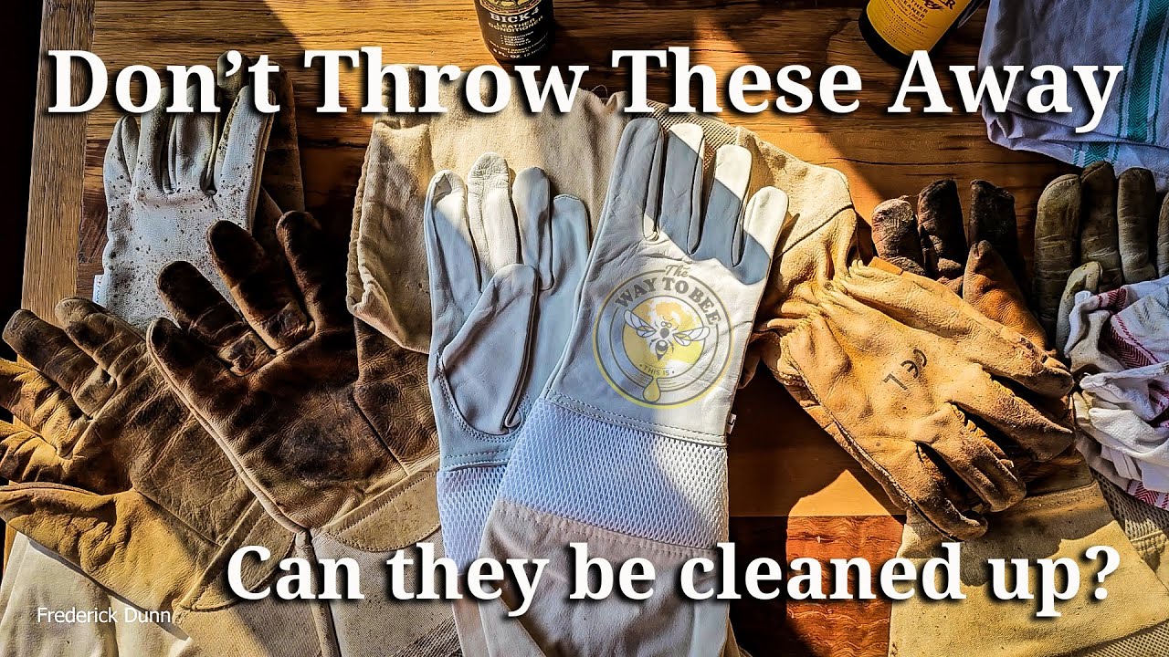 Bee Glove Cleaning and Restoration, Can beekeeping gloves be cleaned?