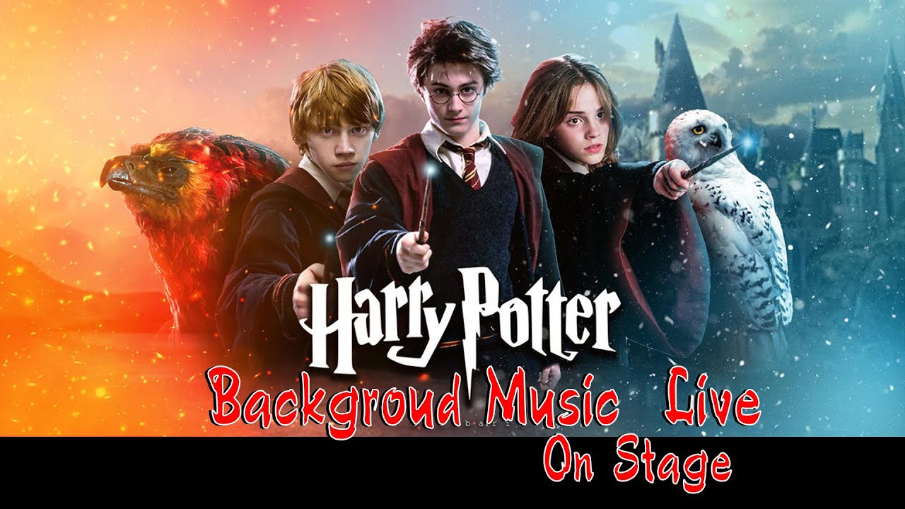Harry potter Back Ground Music Live On Stage