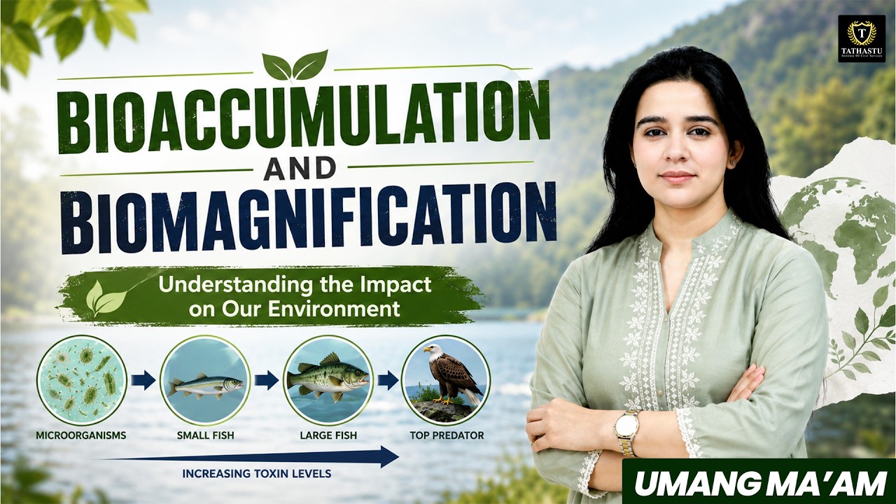 Bioaccumulation & Biomagnification Explained | Environment & Ecology for UPSC CSE