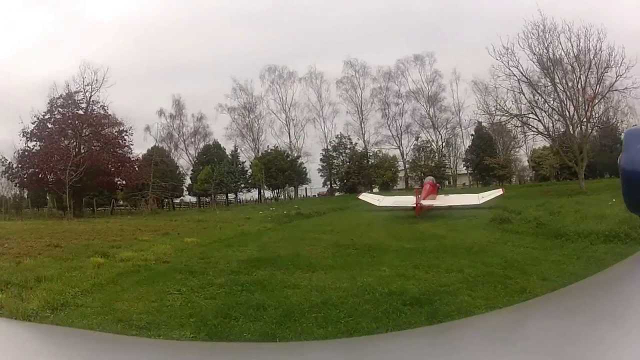 Taylor Mono and Jodel D9