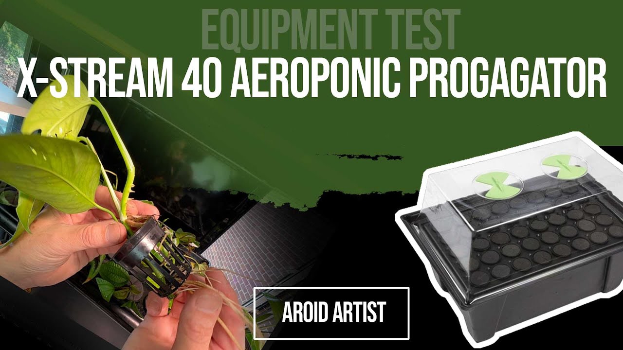 X-stream 40 aeroponic propagator first look