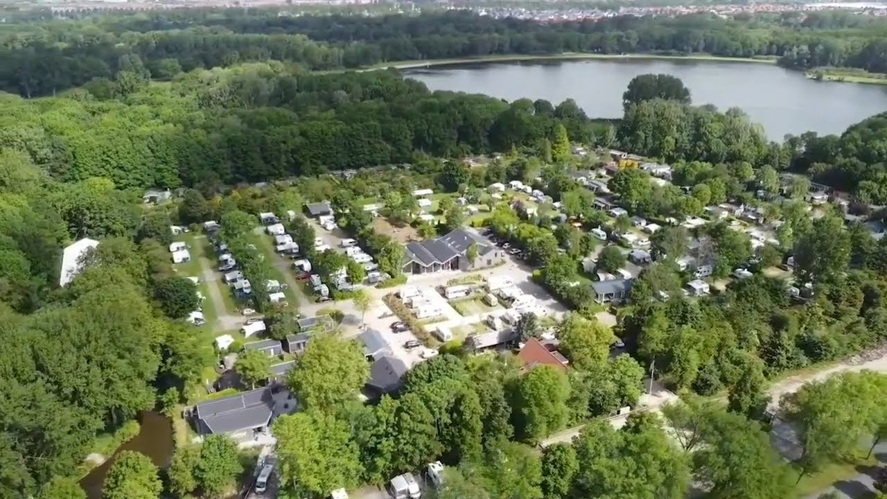 Delftse Hout